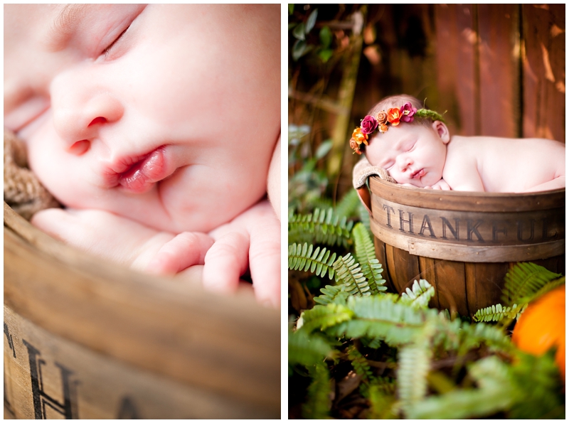 Autumn Fall Pumpkin Rustic Newborn photography by Chelsea Victoria