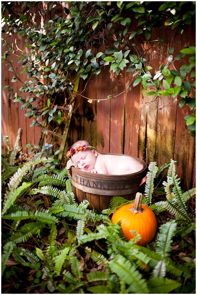 Autumn Fall Pumpkin Rustic Newborn photography by Chelsea Victoria