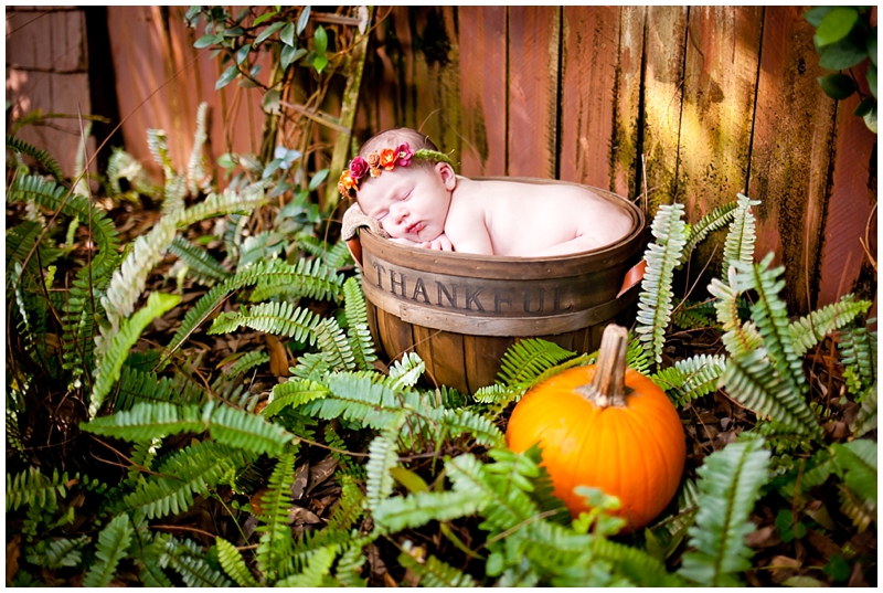 Autumn Fall Pumpkin Rustic Newborn photography by Chelsea Victoria