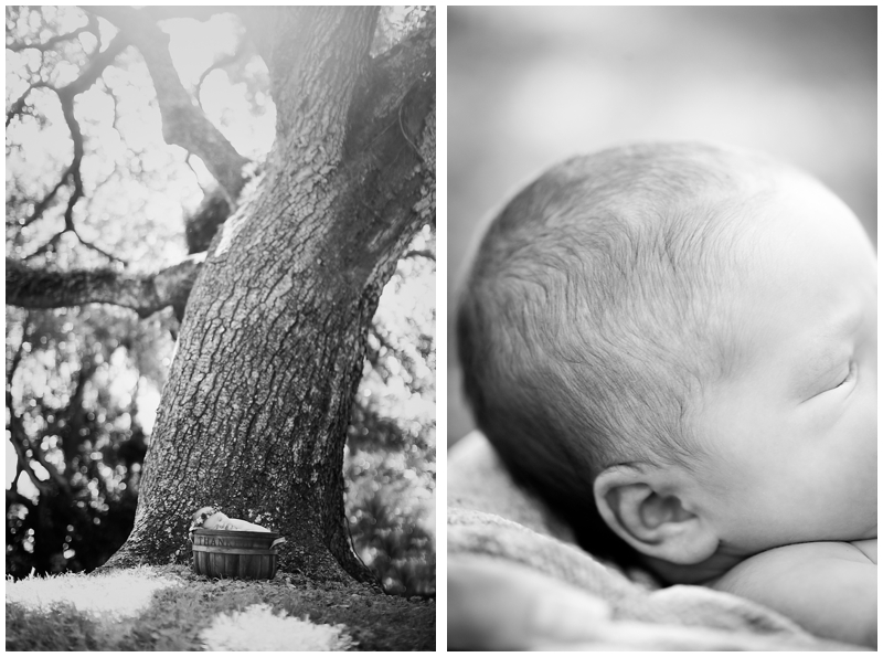 Autumn Fall Pumpkin Rustic Newborn photography by Chelsea Victoria