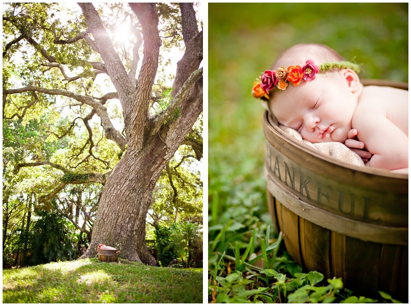 Autumn Fall Pumpkin Rustic Newborn photography by Chelsea Victoria