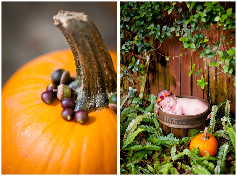 Autumn Fall Pumpkin Rustic Newborn photography by Chelsea Victoria