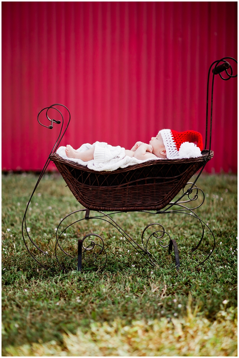 Sunlight Saddle Club Stuart Florida Family Newborn Portraits by ChelseaVictoria.com