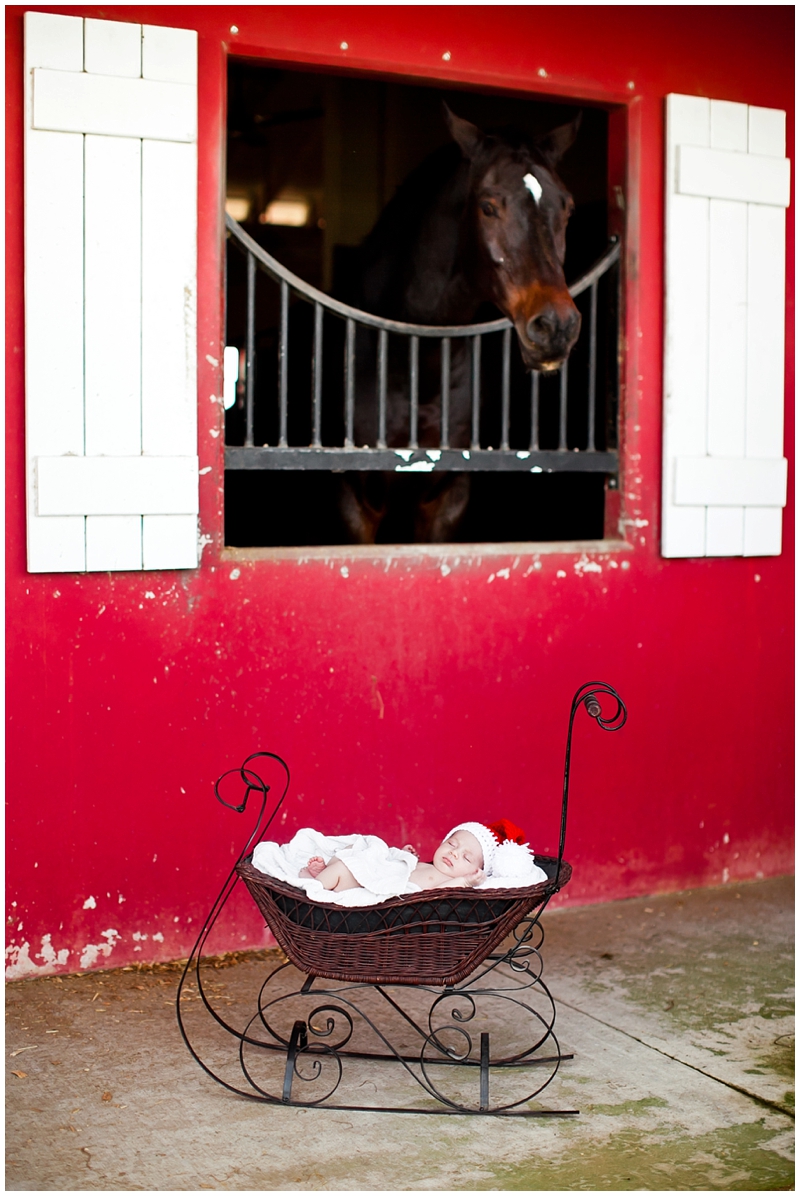 Sunlight Saddle Club Stuart Florida Family Newborn Portraits by ChelseaVictoria.com