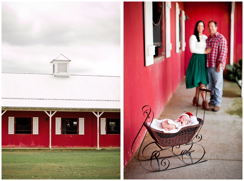 Sunlight Saddle Club Stuart Florida Family Newborn Portraits by ChelseaVictoria.com