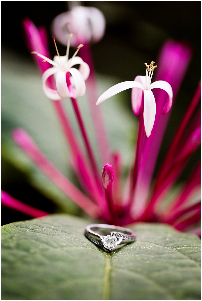 Morikami Museum & Japanese Gardens Engagement Photography by ChelseaVictoria.com