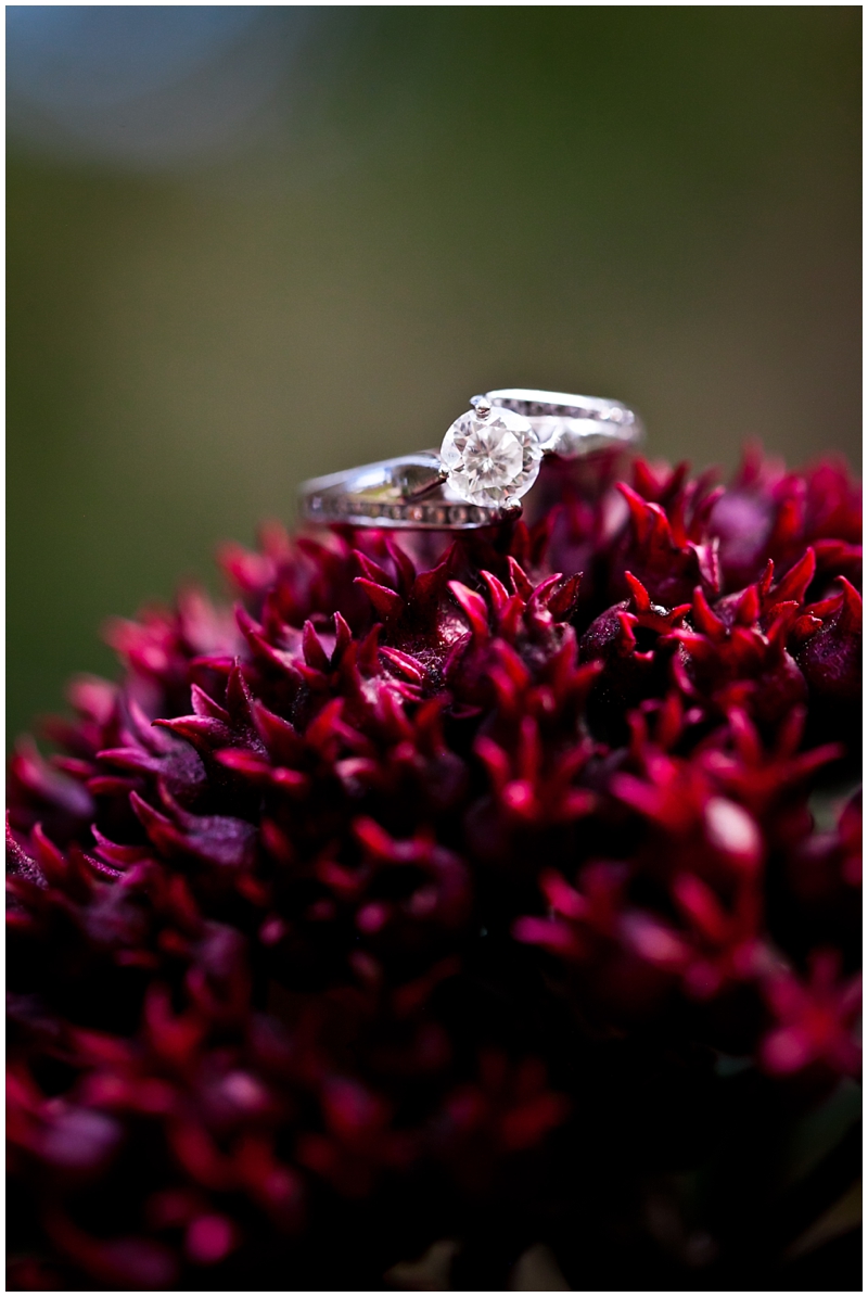 Morikami Museum & Japanese Gardens Engagement Photography by ChelseaVictoria.com