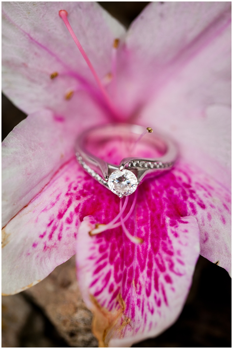 Morikami Museum & Japanese Gardens Engagement Photography by ChelseaVictoria.com