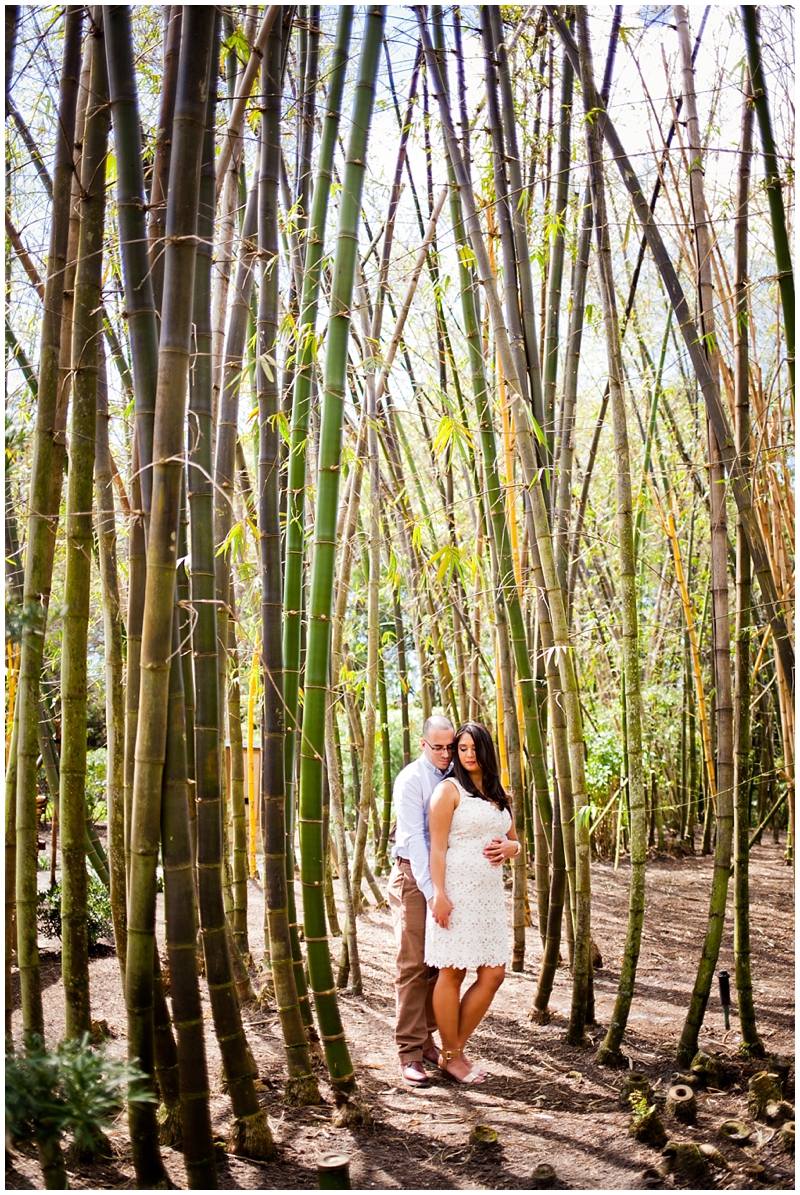 Morikami Museum & Japanese Gardens Engagement Photography by ChelseaVictoria.com