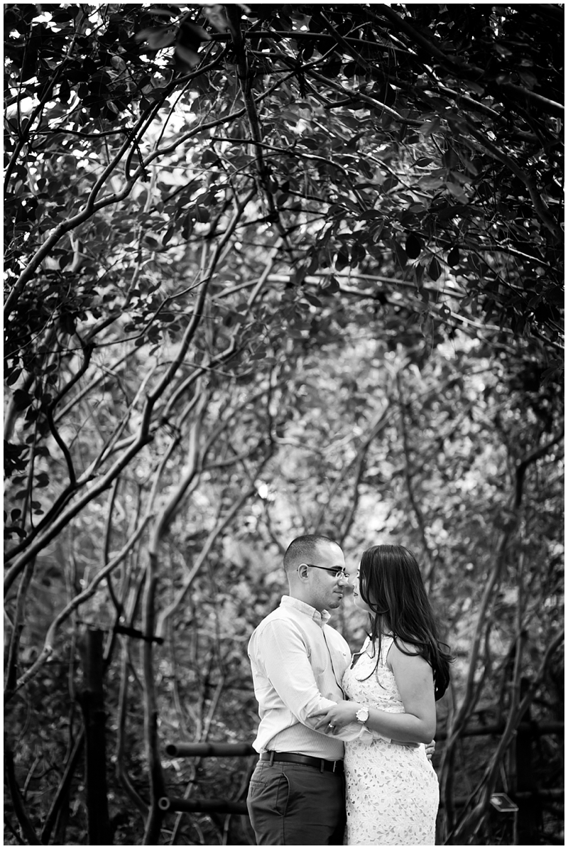 Morikami Museum & Japanese Gardens Engagement Photography by ChelseaVictoria.com