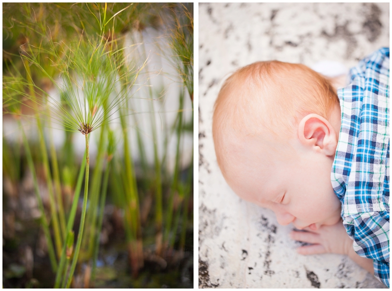 Worth Avenue Palm Beach Florida Family and Newborn Portraits by Chelsea Victoria