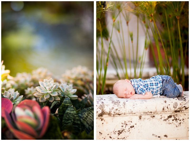 Worth Avenue Palm Beach Florida Family and Newborn Portraits by Chelsea Victoria